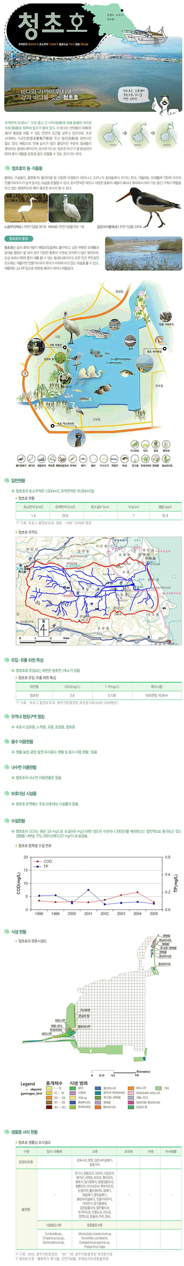 청초호