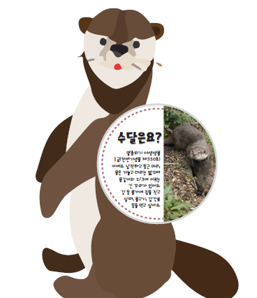 수달코너 사진