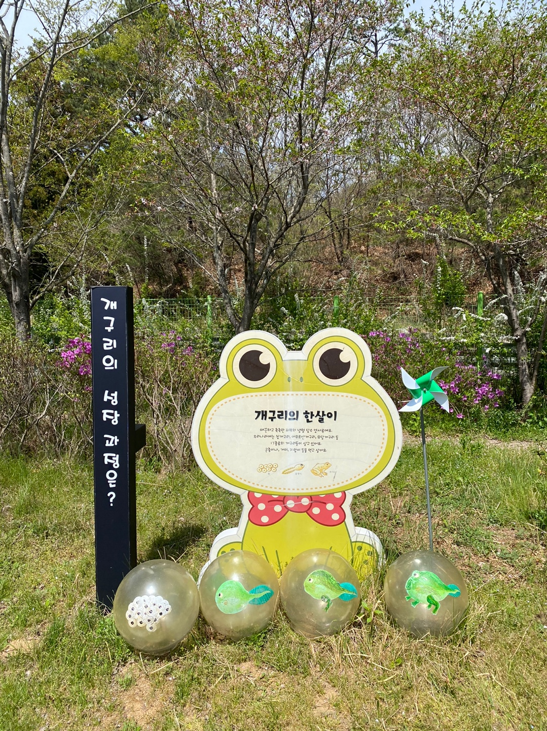 개구리·수달·백로 코너