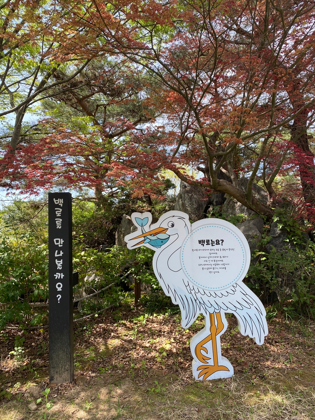 개구리·수달·백로 코너