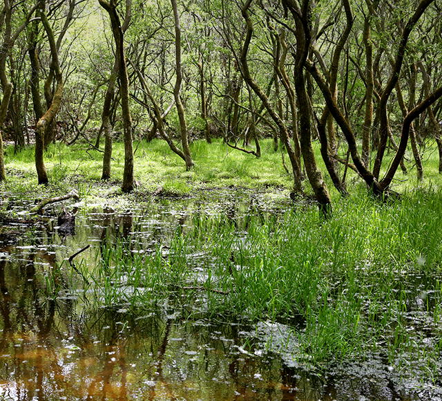 전북유역환경청모바일배경이미지